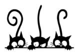 bouteille amusante au motif chats curieux pratique et elegante blanc alu 610 1