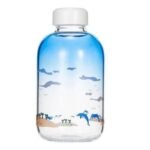 bouteille en verre chic hydratez vous avec style gourde 415 1