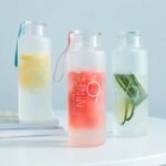 bouteille en verre depoli qualite preservee transport simplifie gourde 152 1