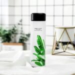 bouteille isotherme nature fraicheur et elegance a emporter c 350 ml gourde 104 1