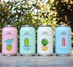 gourde canette cactus lhydratation stylee au quotidien 968 1