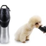 Gourde En Acier Inox Pour Chiens : Pratique Et Durable !