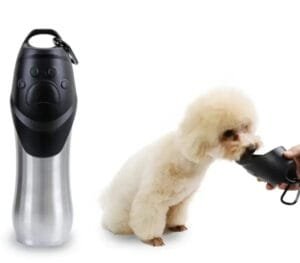 Gourde En Acier Inox Pour Chiens: Pratique Et Durable!