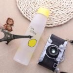 gourde en verre depoli aux motifs fruites un peps au quotidien citron 397 1