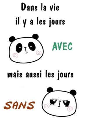 gourde humeur panda pour illuminer vos journees avec style blanc bouteille alu 993 1