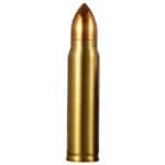 Gourde Inox Isotherme Bullet: Un Style Radical Pour Vos Boissons! 1000 Ml