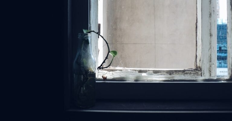 peut on mettre une gourde isotherme au frigo
